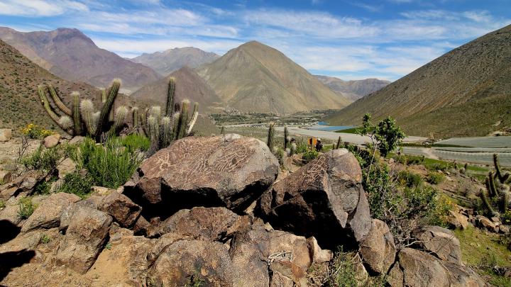 Paisaje elquino