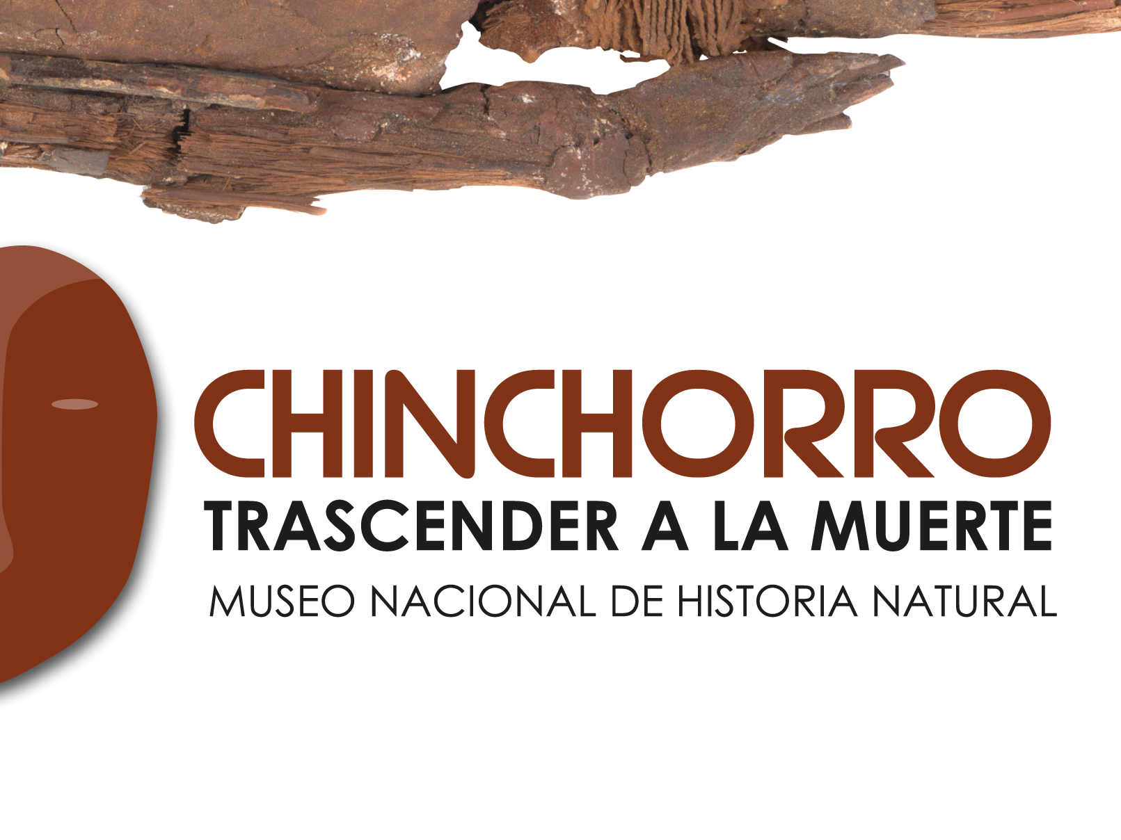 Logo de la exhibición