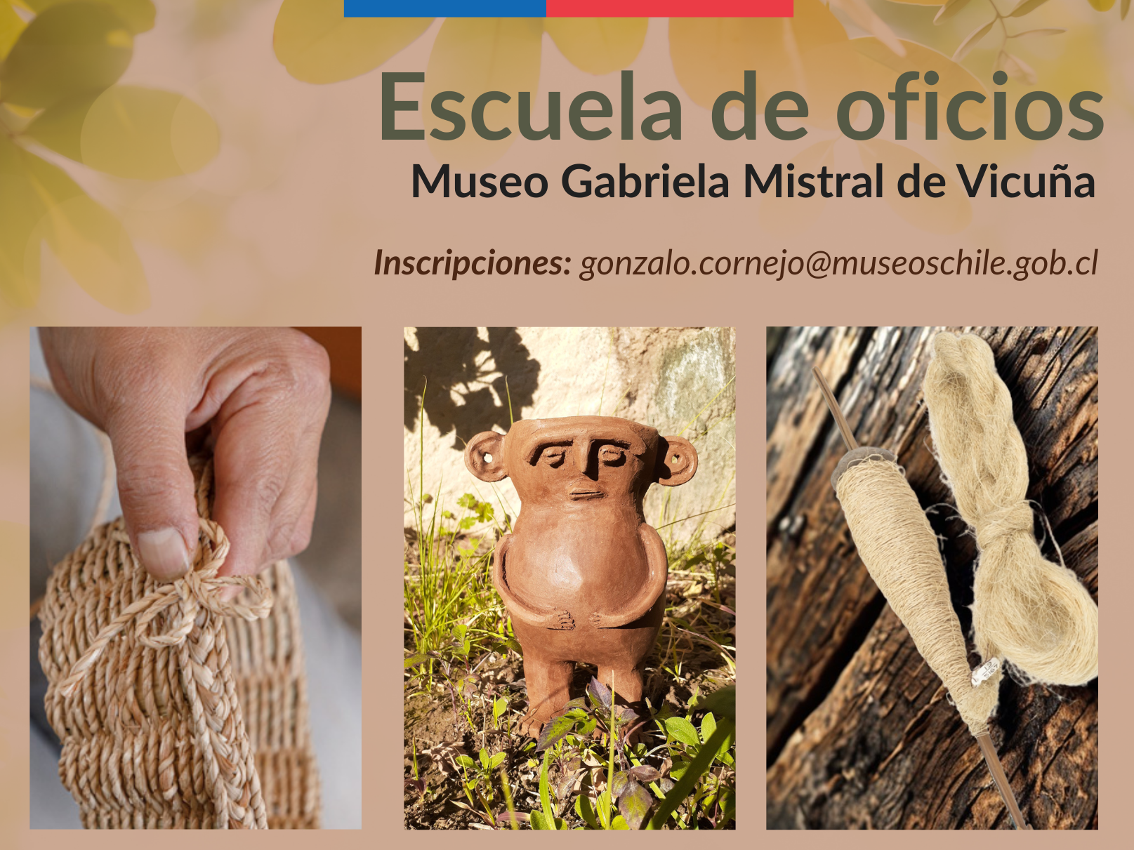Afiche oficial