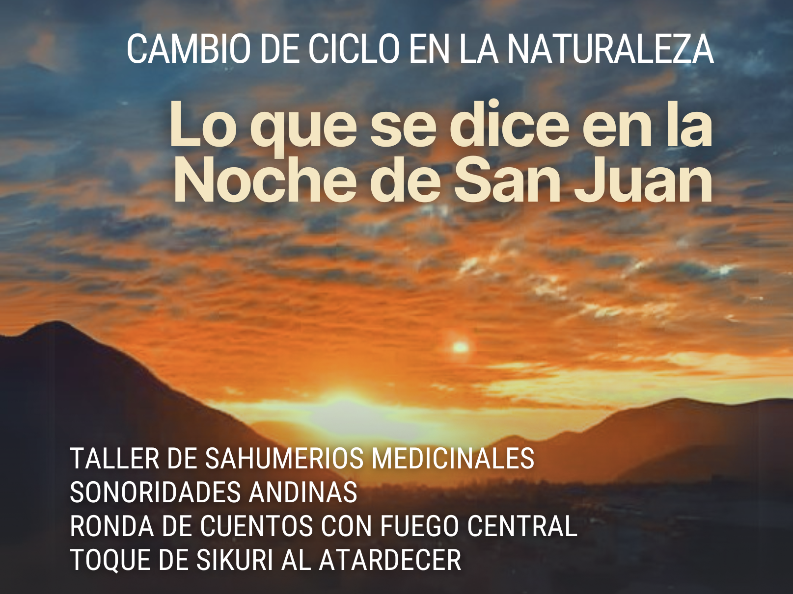 Afiche oficial