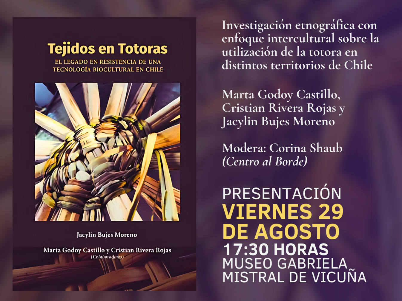 Afiche oficial