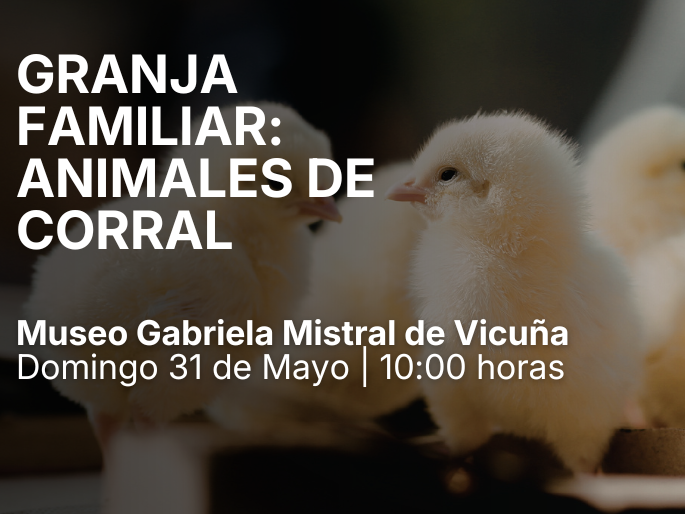 Afiche oficial