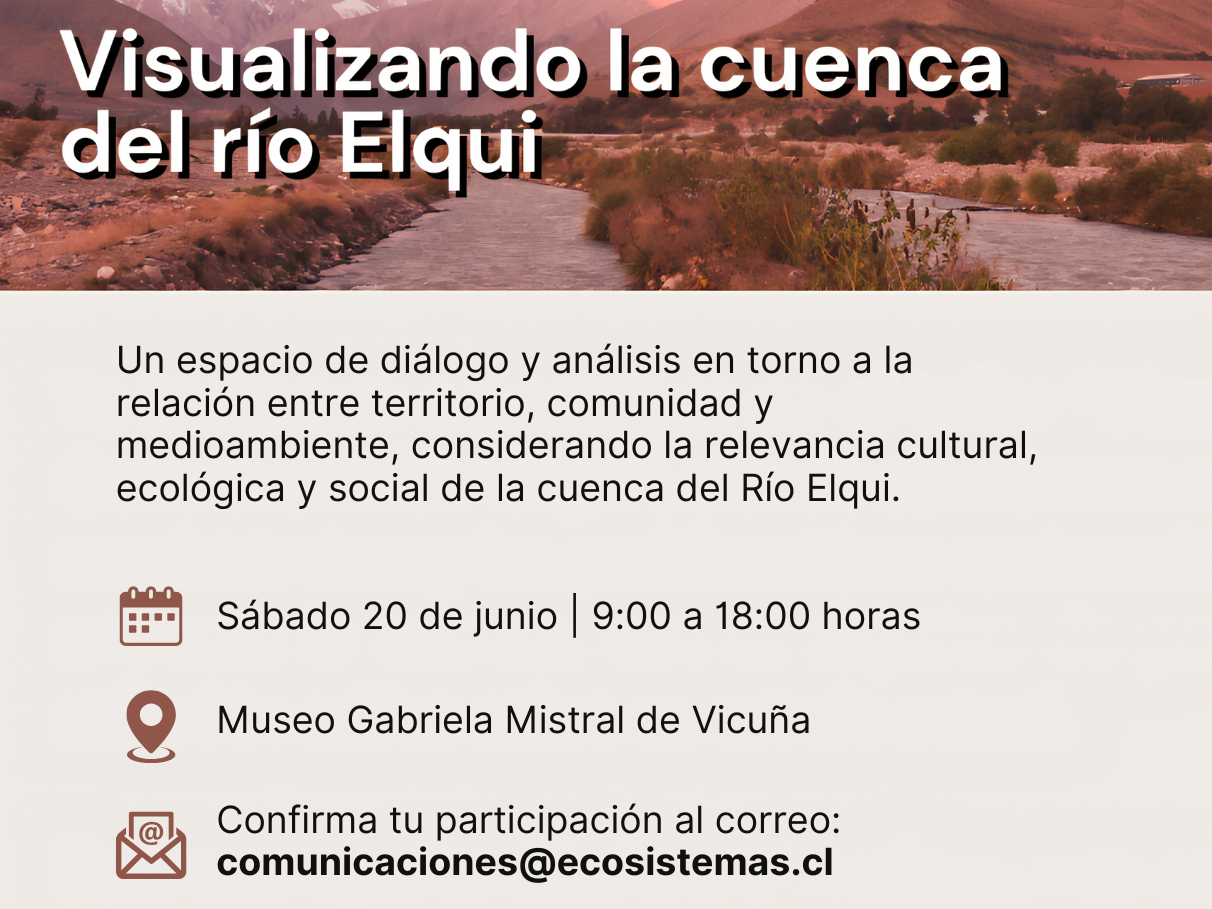 Afiche oficial