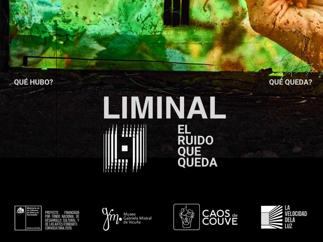 Afiche oficial