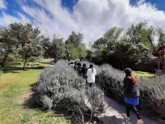 Estudiantes del Liceo Carlos Roberto Mondaca de Vicuña en el Jardín Poético del museo.