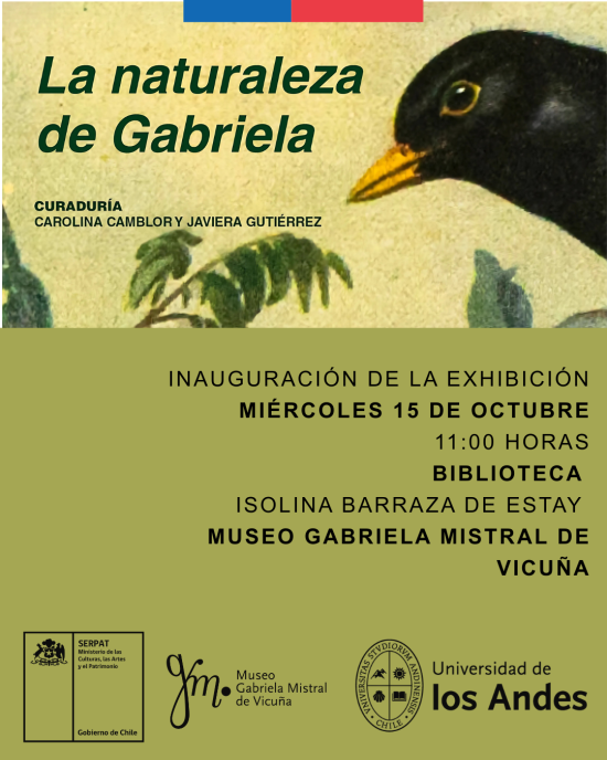 Afiche oficial