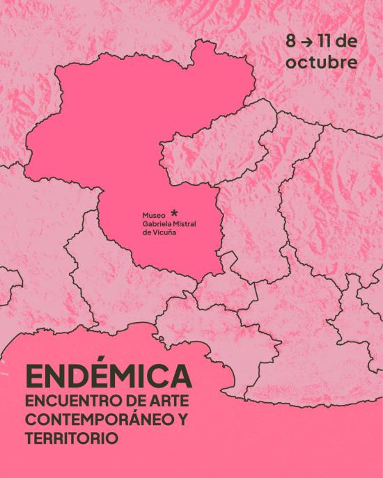 Afiche oficial
