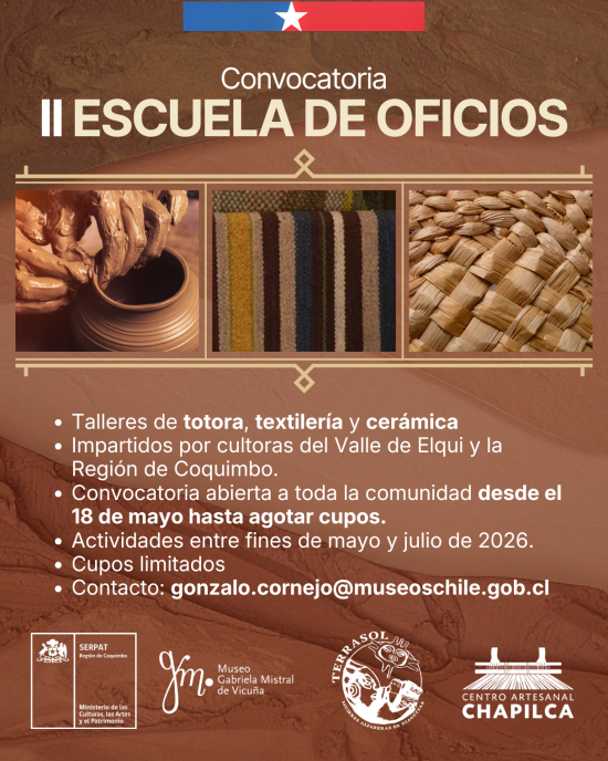 Afiche oficial