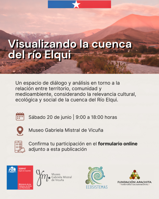 Afiche oficial