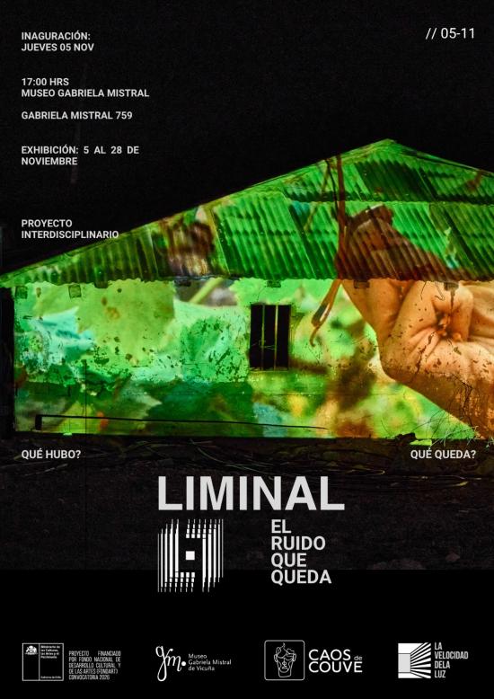 Afiche oficial